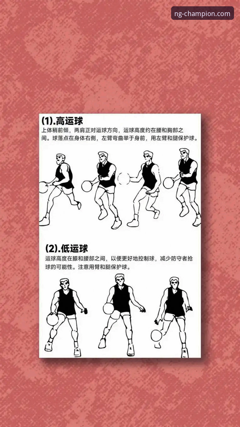 NG体育下载教程 NG体育平台最新动态:新手必看的下载教程与实用技巧全解析