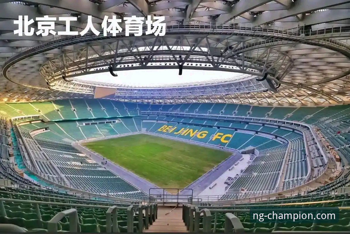 资深技术评测员亲测NG体育平台：从下载到实战的详细体验分享